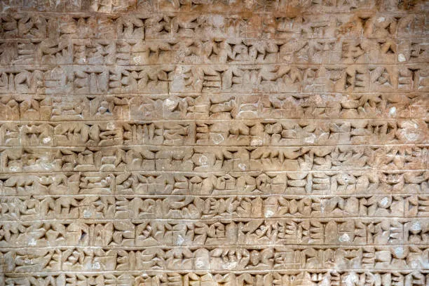 Mervel a ra ar yezhoù evit ar wech tout