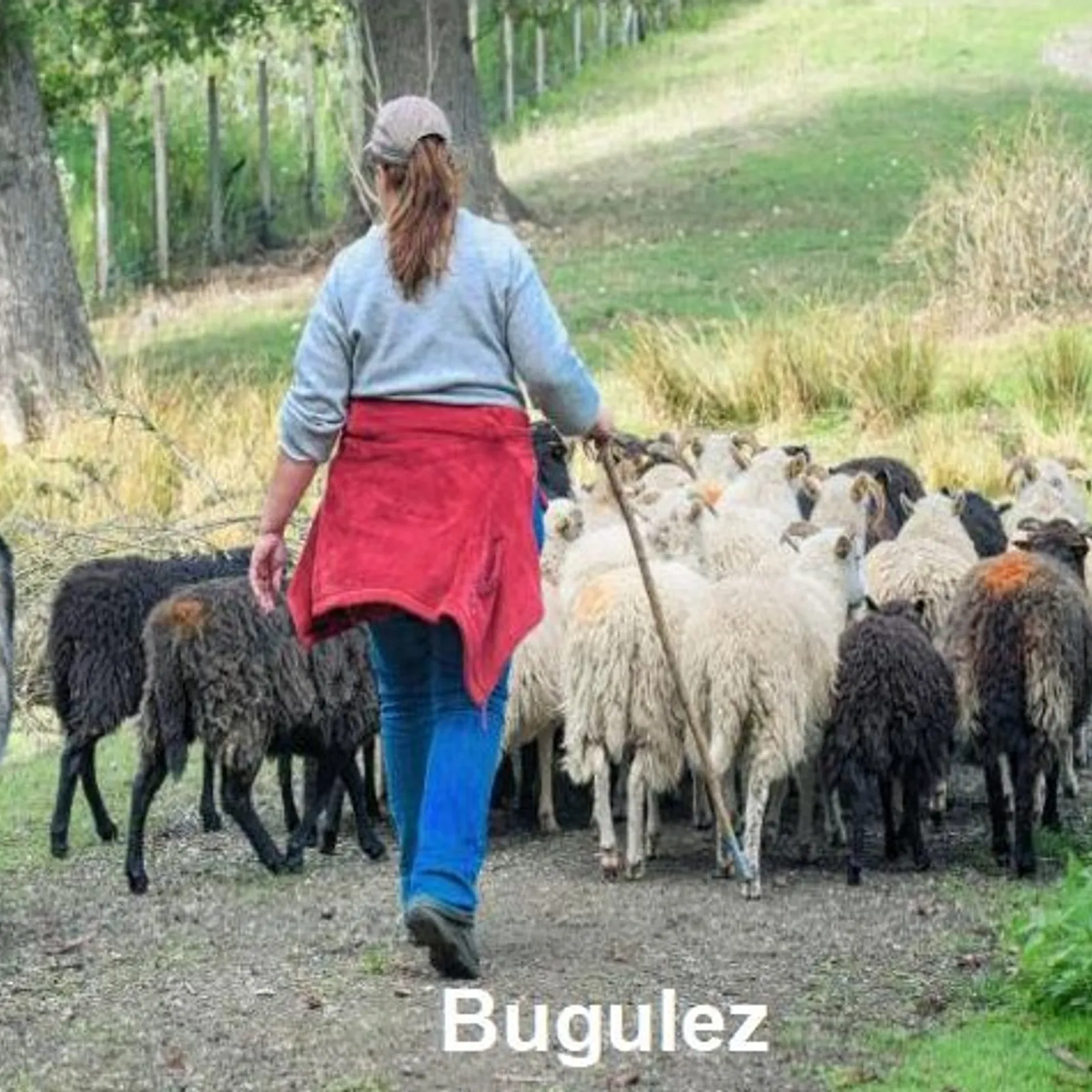 Cours n°199