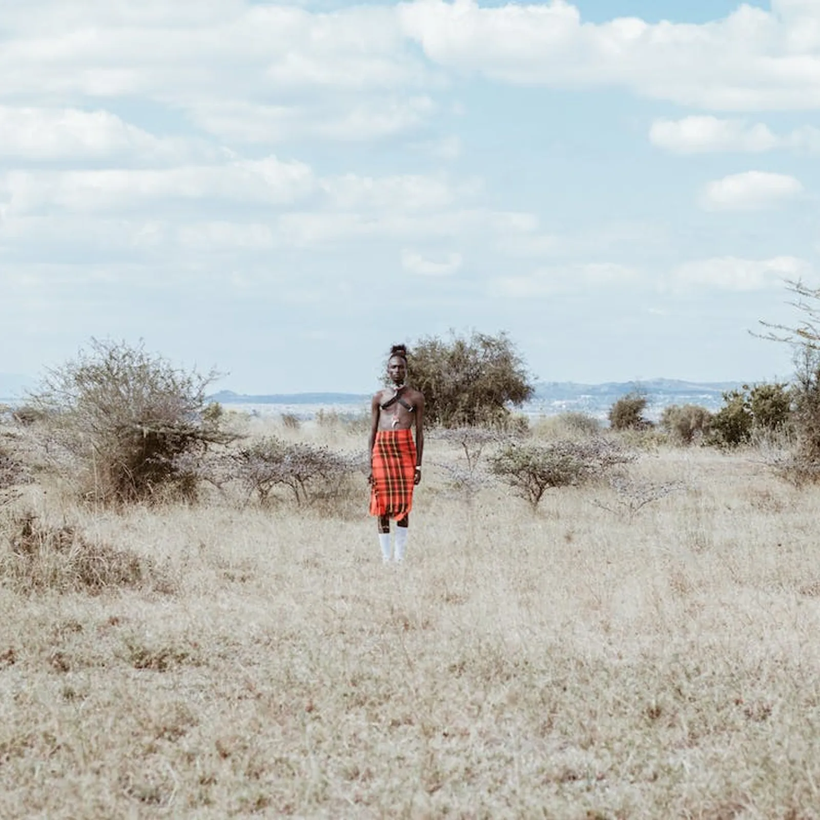 Les crédits-carbone