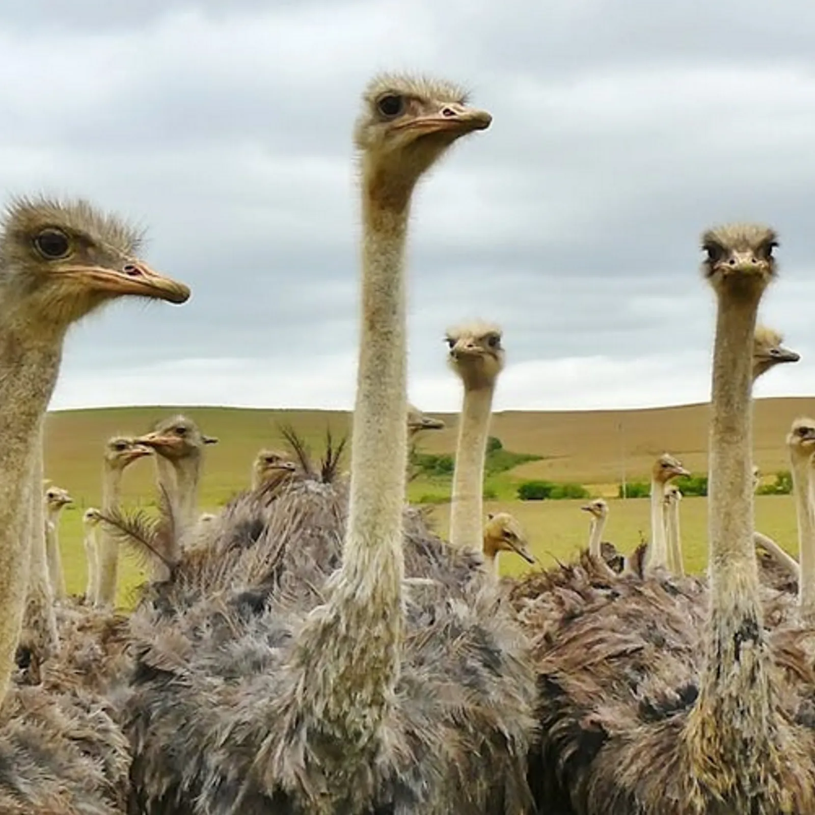 Tavarn Kreiz Mintin - Live ! 19/09/2024