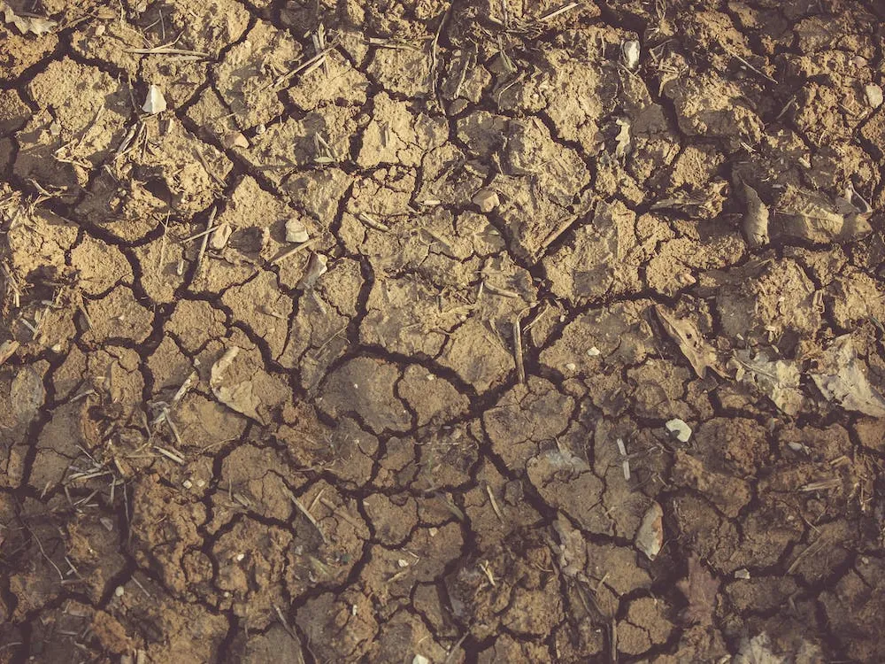 La grande sécheresse et le remembrement