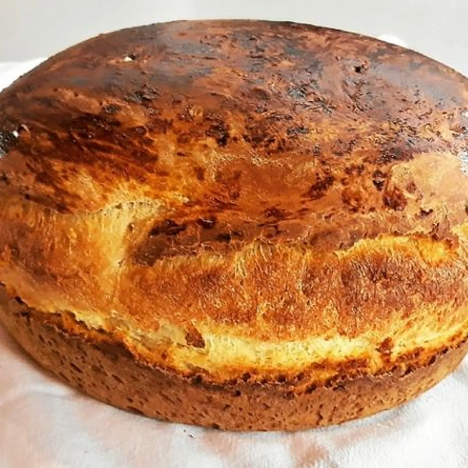 Du pañn, des jardins et du français