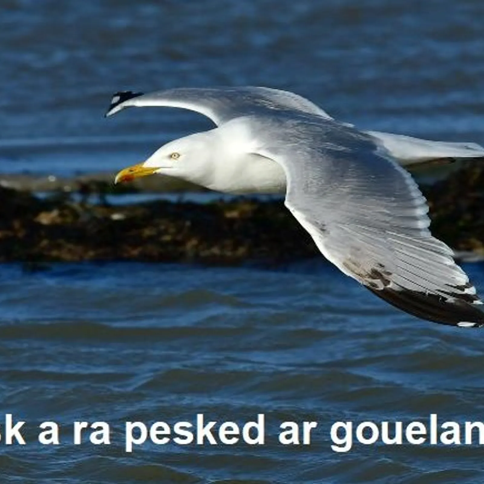 Cours n°192