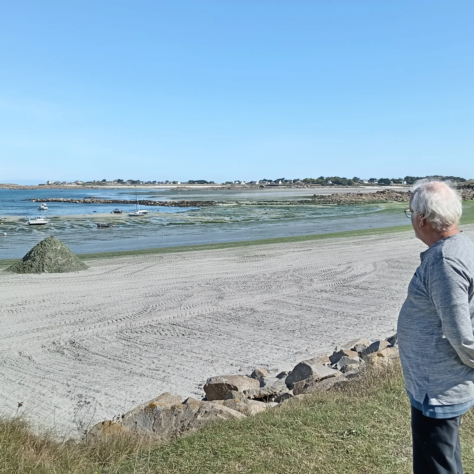 Goloet eo traezhenn ar C'hurnig 'ba Gwiseni gant bezhin glas!