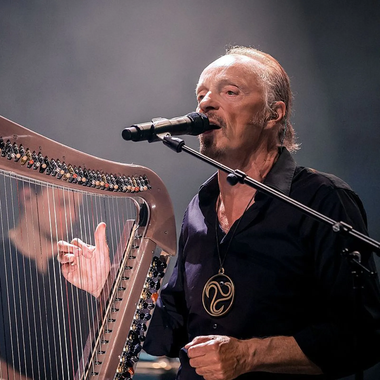 Gervel a ra alan Stivell mont da votiñ ouzh an RN 