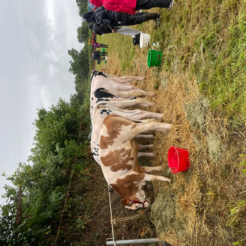 Retour sur le comice agricole de Maël Pestivien en août 2024