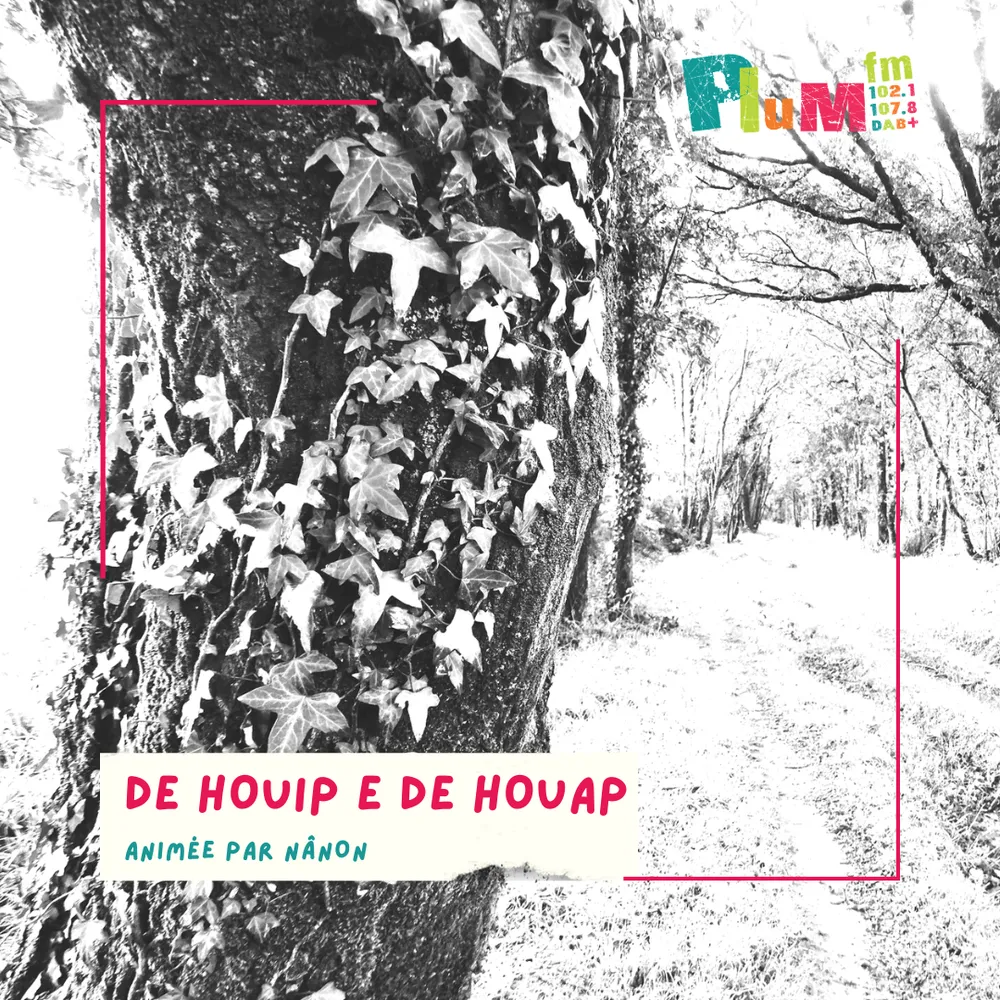 De houip e de houap #gallo