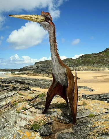 Le Quetzalcoatlus