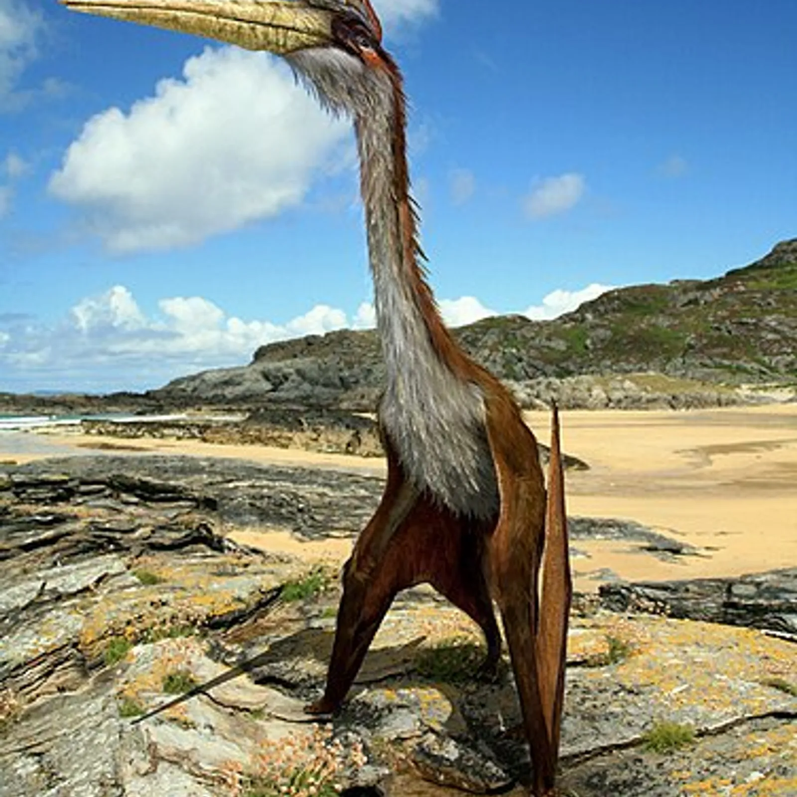 Ar C'h/Quetzalcoatlus