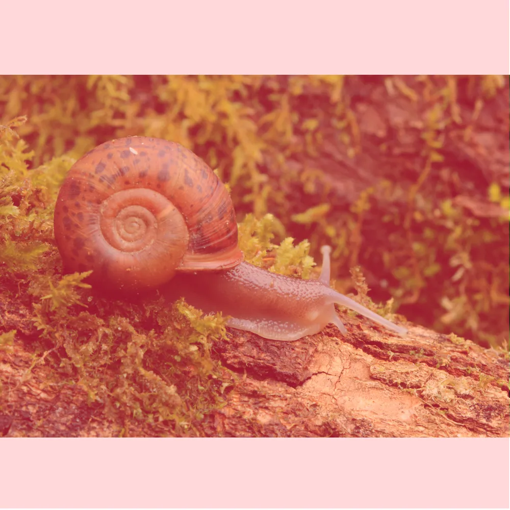 Green Washing #6 Les sciences participatives