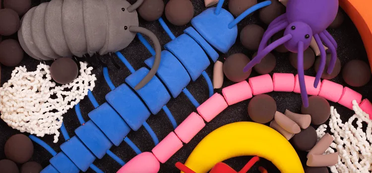 Plongez dans l'univers du compost avec Les compostioles