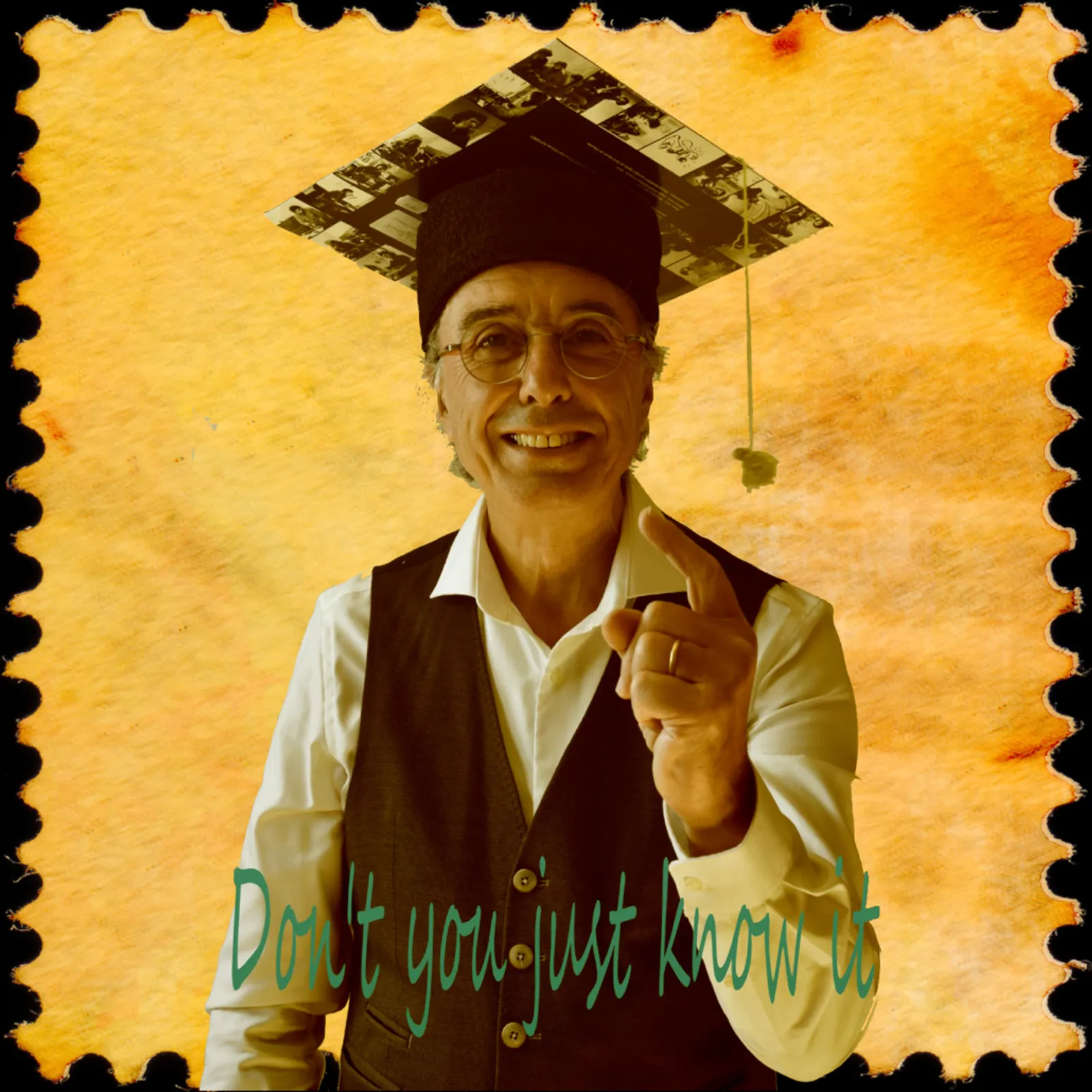 DON'T YOU JUST KNOW IT ? => épisode 61 : le bois, les arbres.