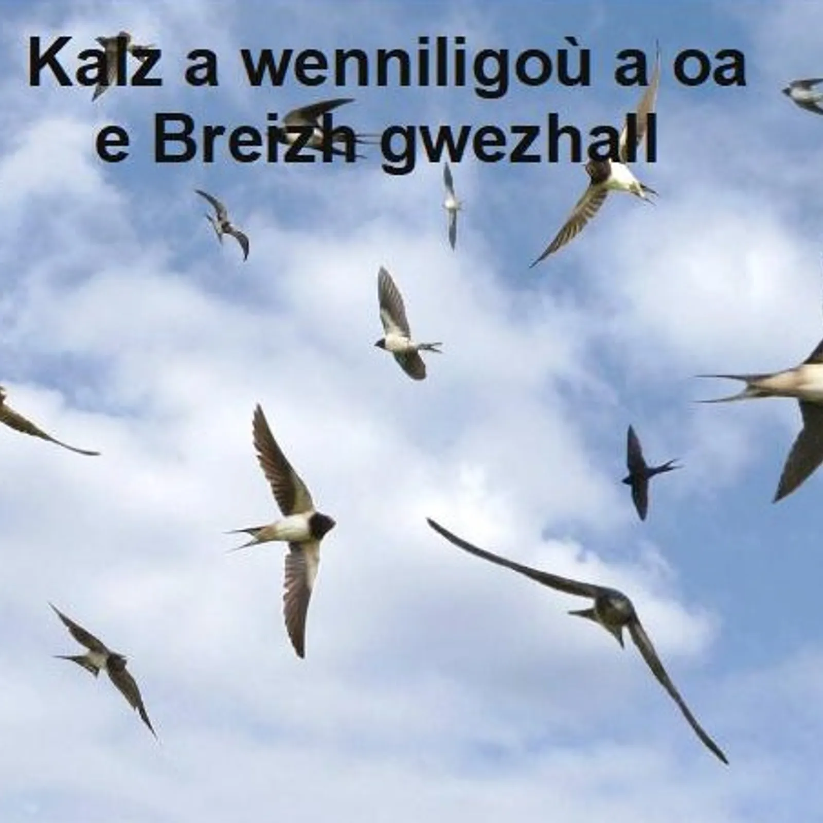 Cours n°149