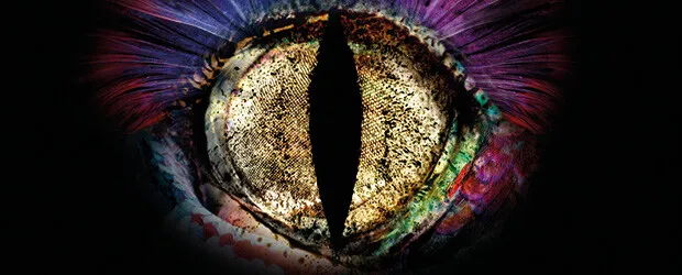 Boudoù marvailhus e Maner Kernot