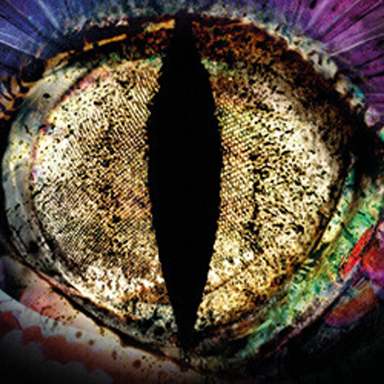 Boudoù marvailhus e Maner Kernot