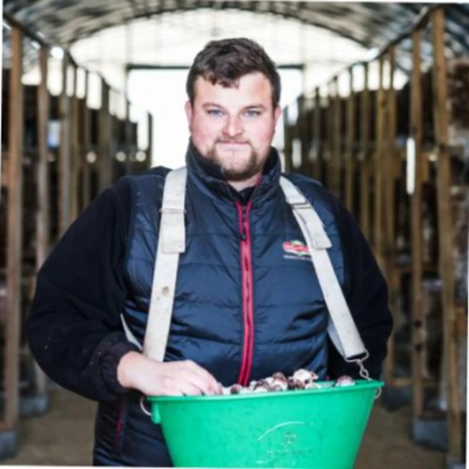 Savet eo peizanted yaouank ar JA ouzh ar politikerezh war al labour-douar