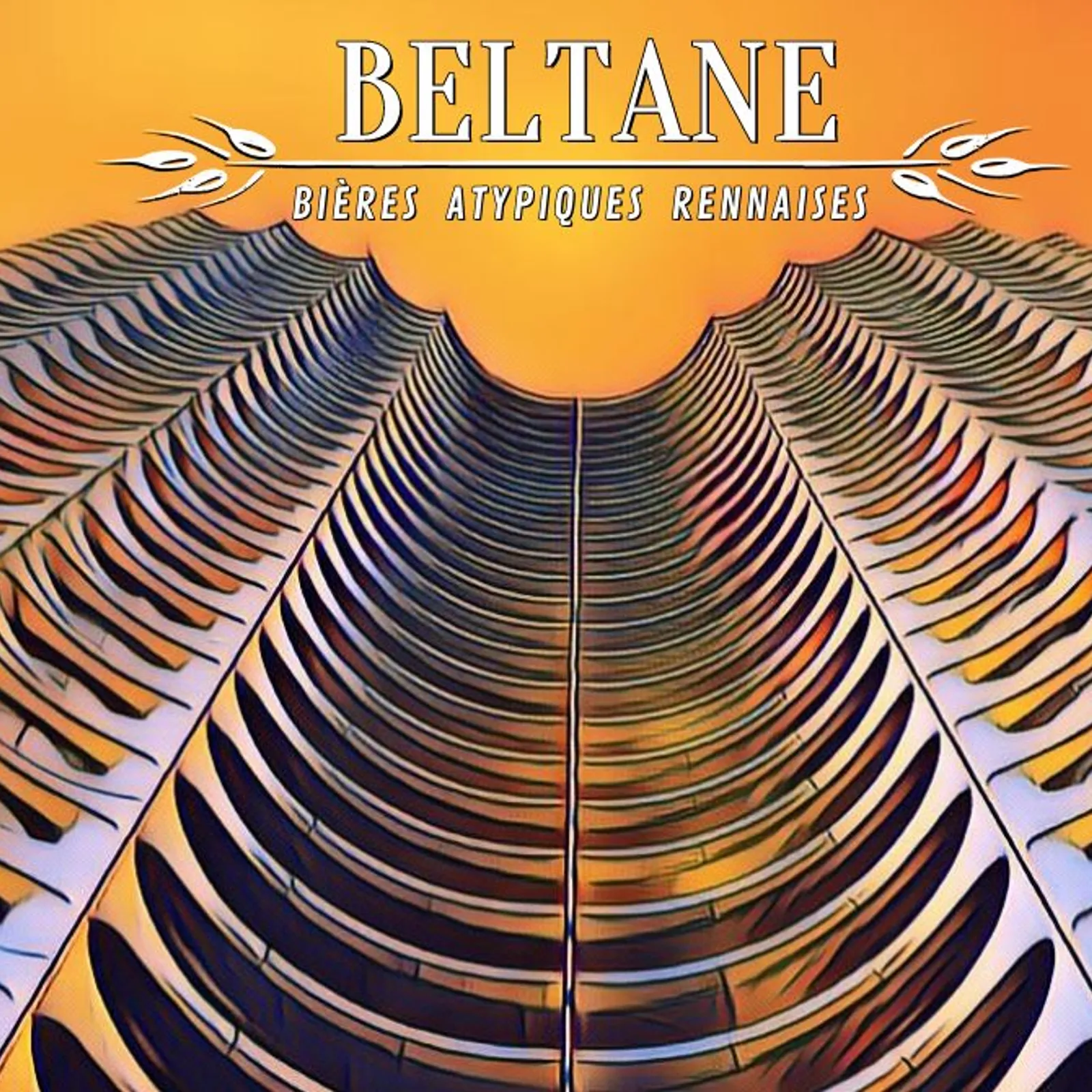 Rencontre avec Méryll, créatrice de la brasserie Beltane