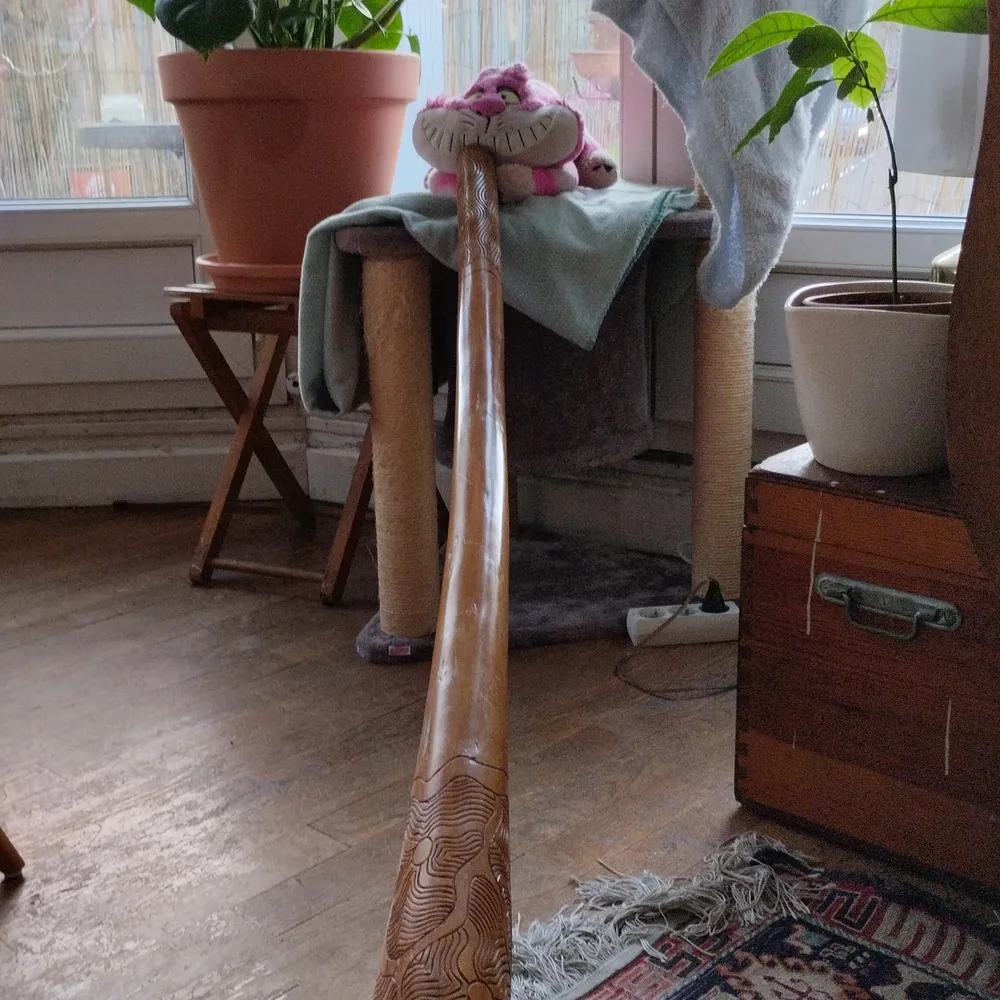 Bandes Organisées #53 : Introspection chamanique Part. 2