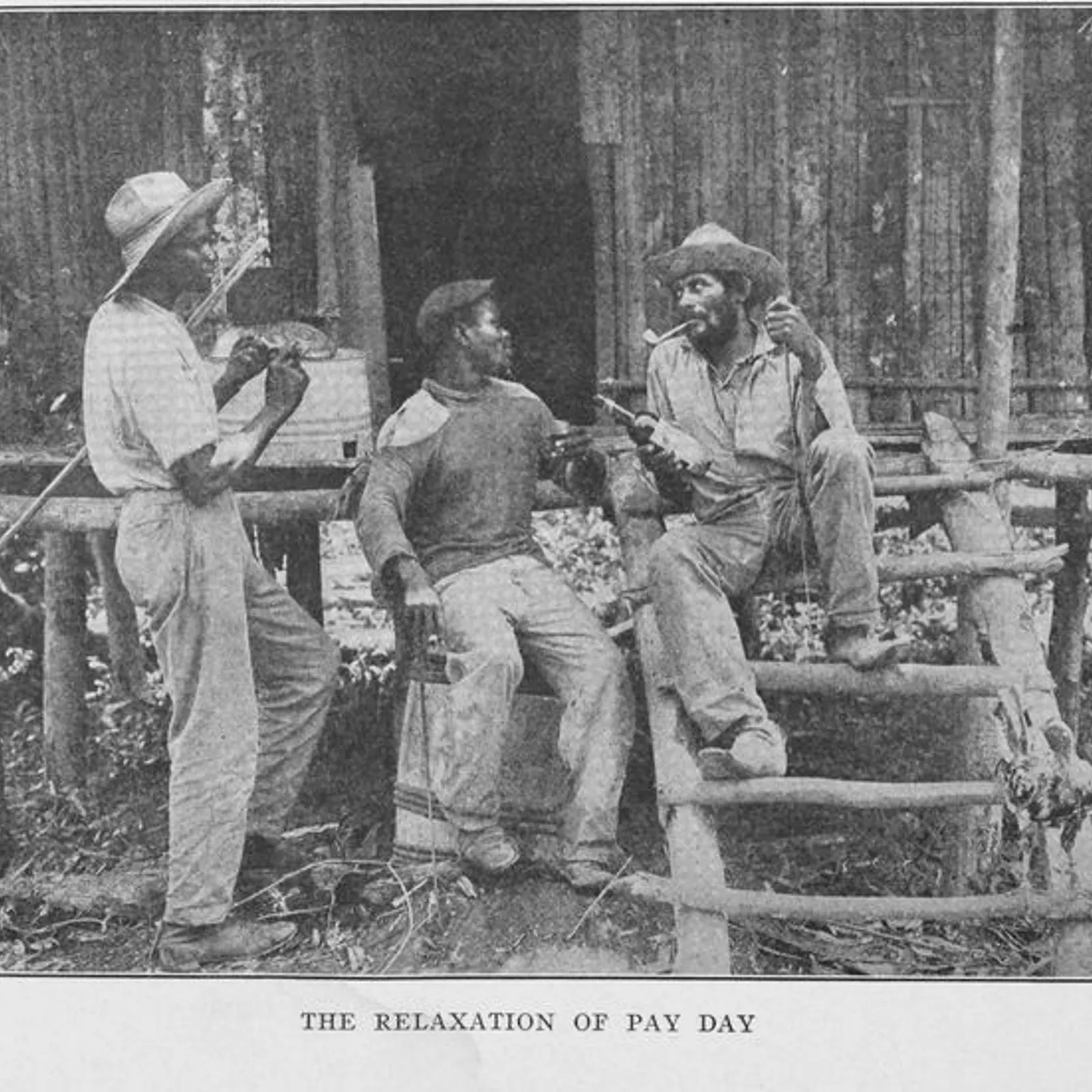 Bandes Organsiées #31 : punk à gogo