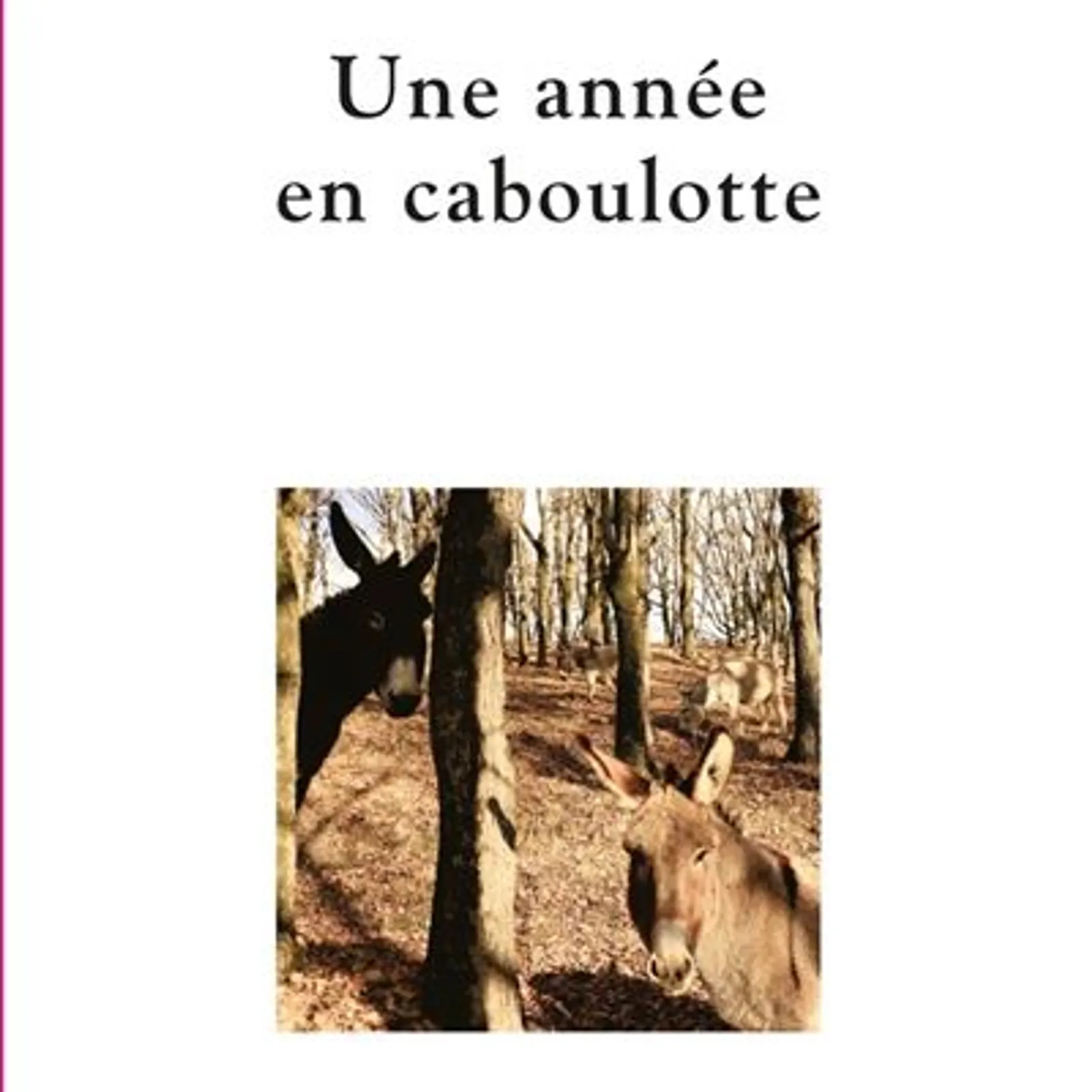 L'année de la caboulotte