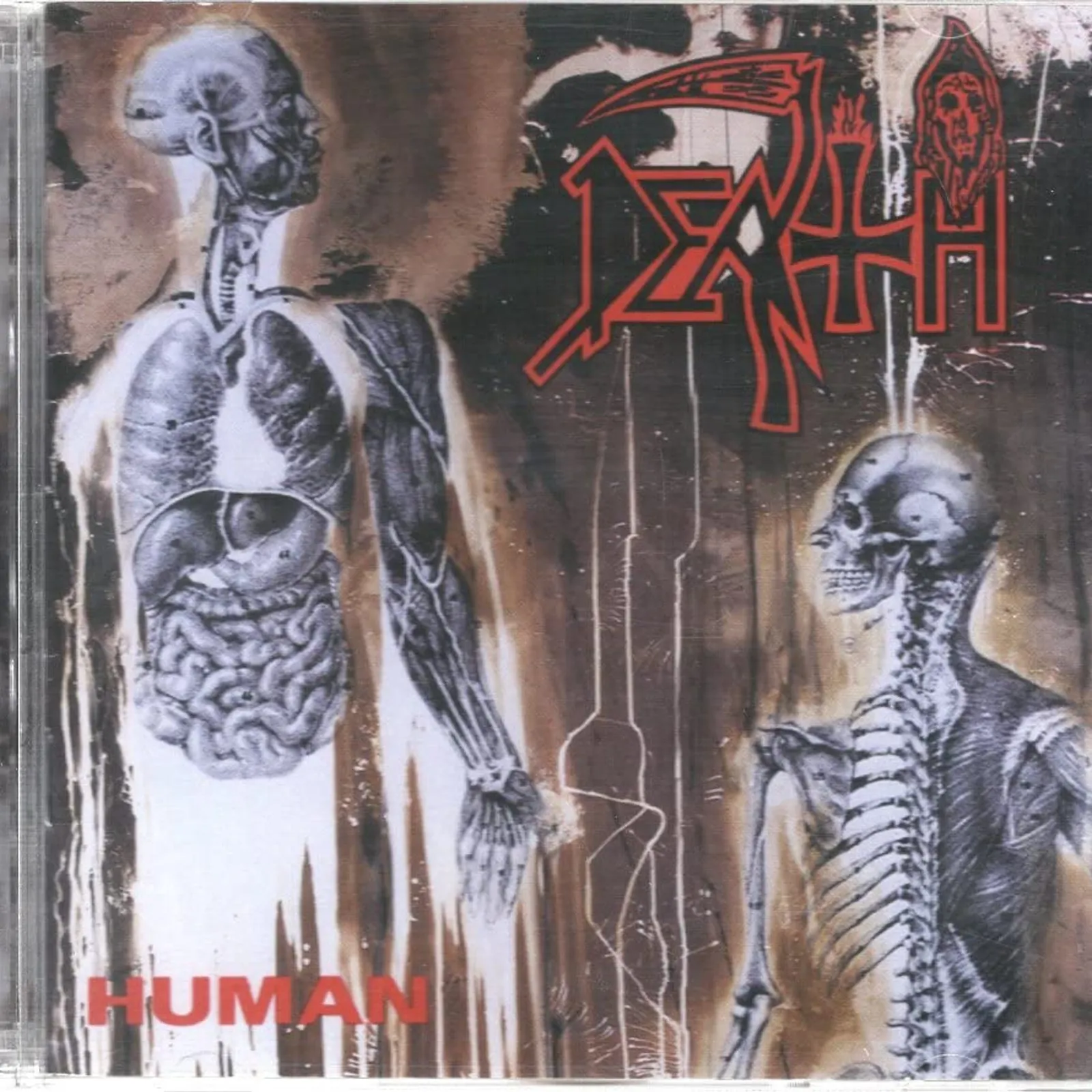 DIR HA TAN 66 "Secret Face"