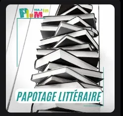 Papotages littéraires - épisode 33 - Cercas  / Tove Ditlevsen / Guenassia / Tiffany Quay Tyson  / Bonnefoy / Perez : 