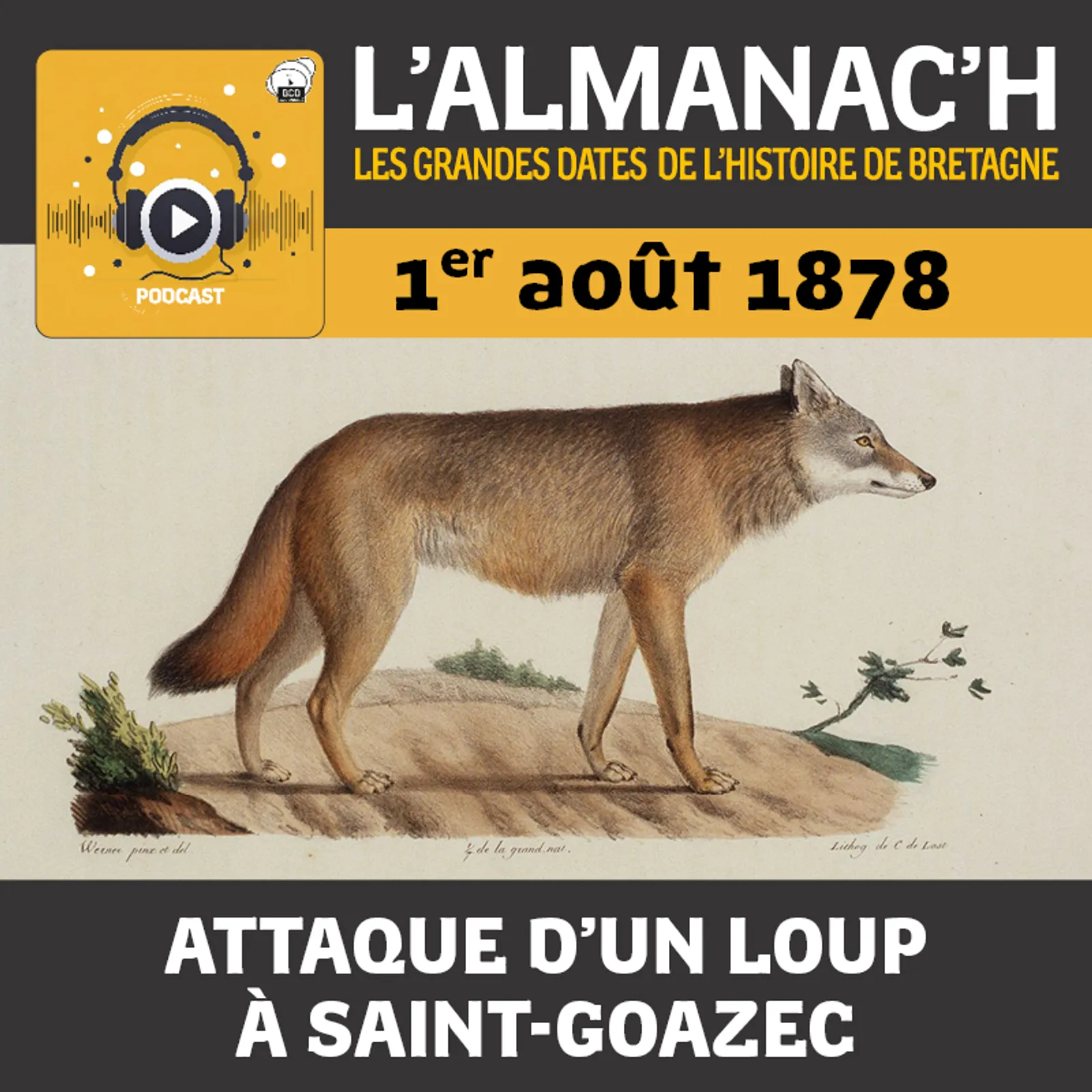 1er août 1878 - Attaque d'un loup à Saint-Goazec