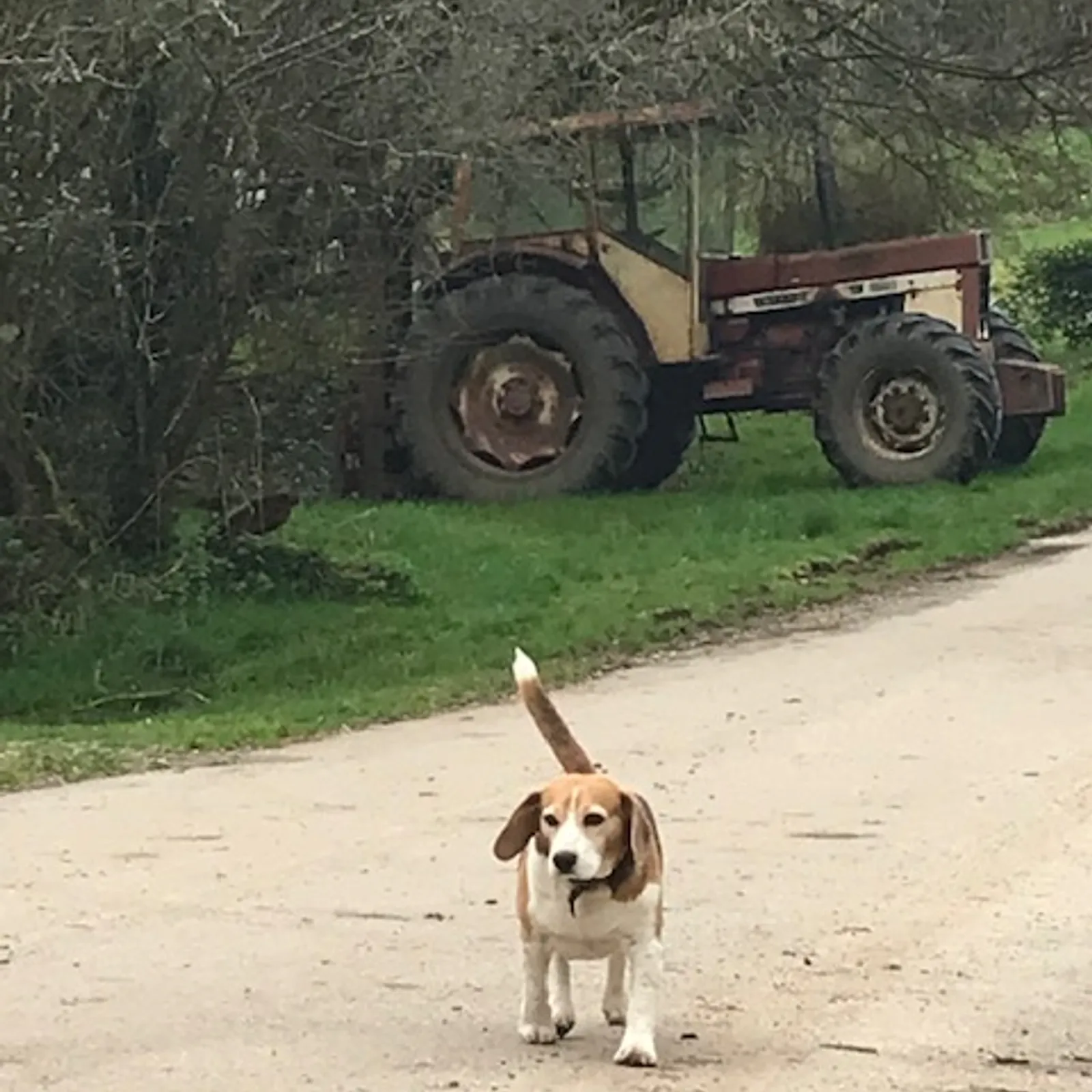 Jeanine & Daniel Nignol de Bubry