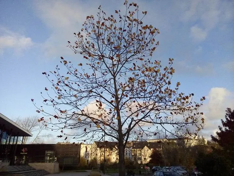 « Ultime Liberté », entre éthique et politique, comment assurer une mort digne pour tous ?