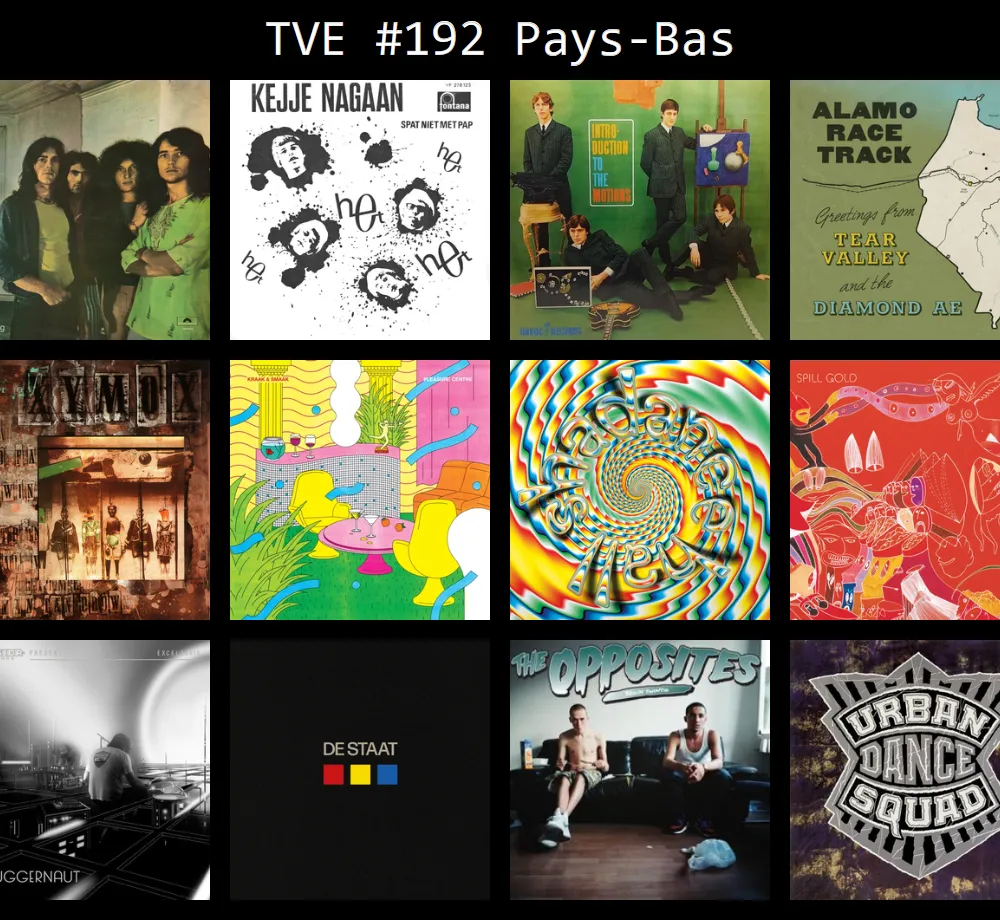 Trans Vinyl Express #192