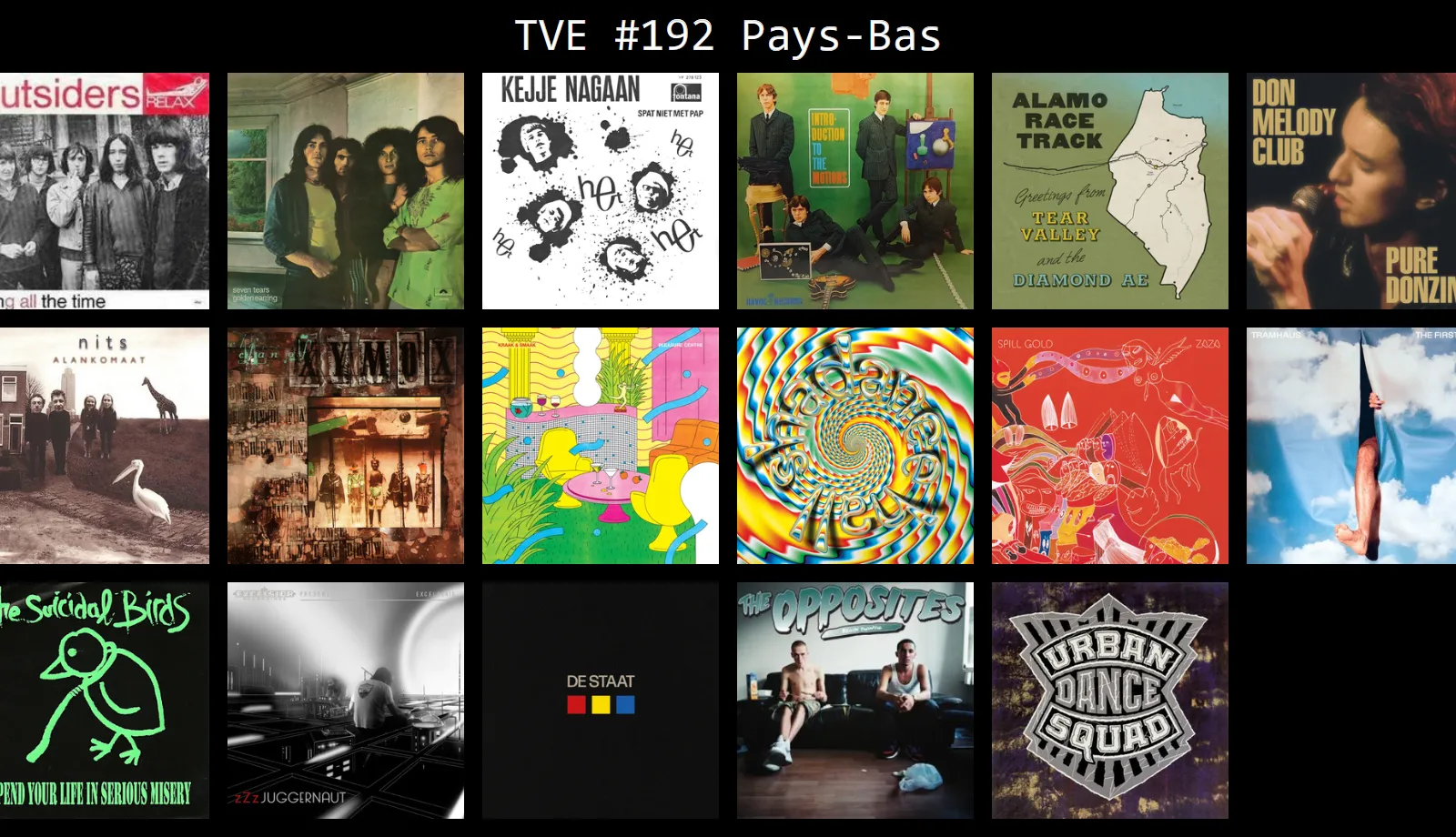 Trans Vinyl Express #192