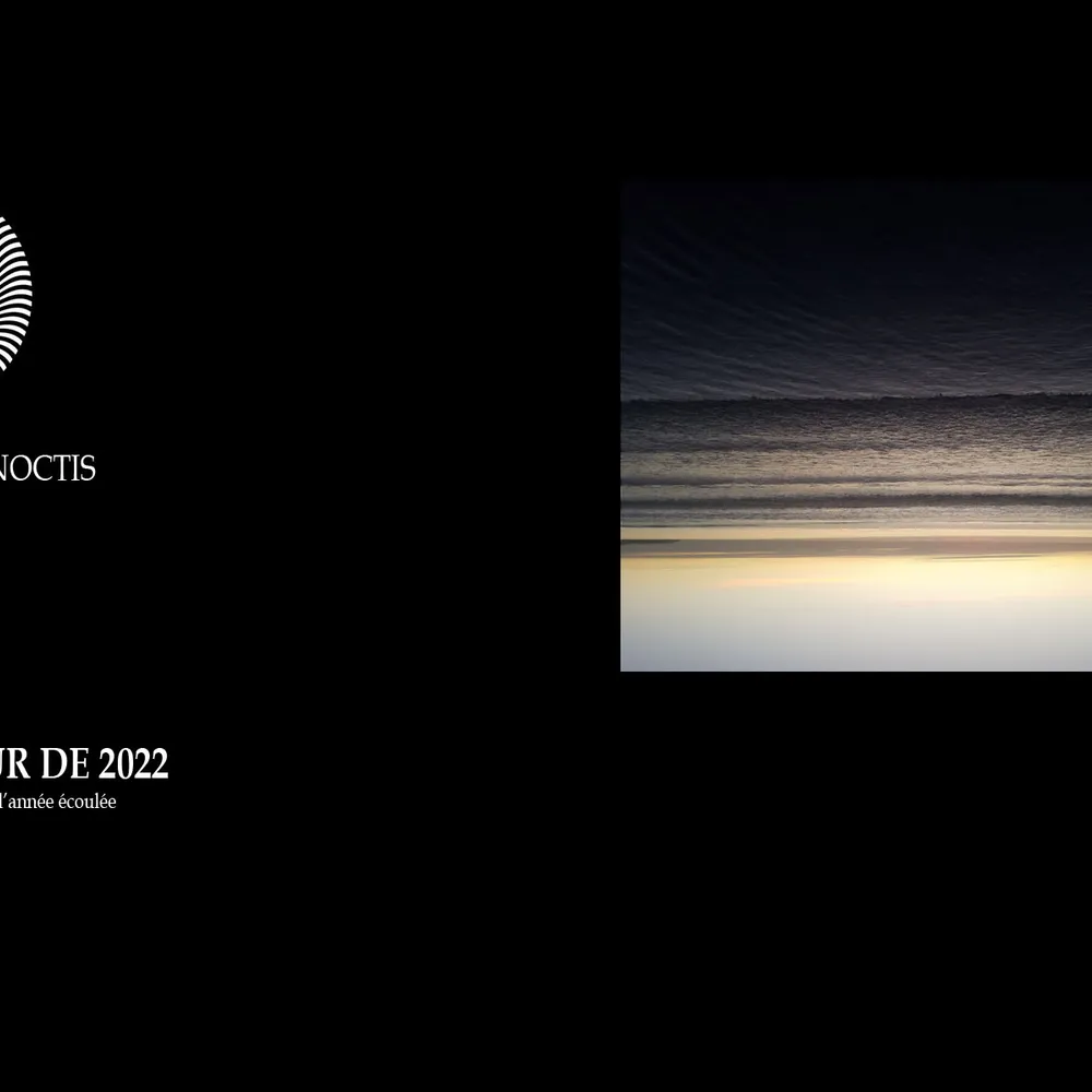 In Vacuum Noctis # 23