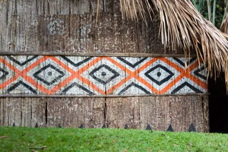 Lula et les peuples amérindiens