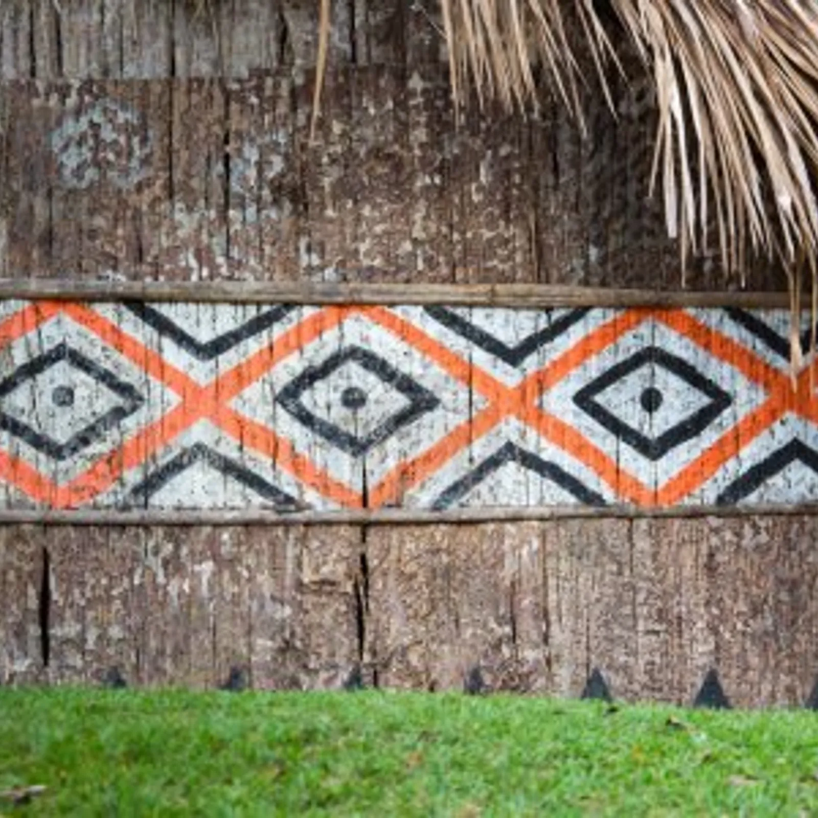 Lula et les peuples amérindiens