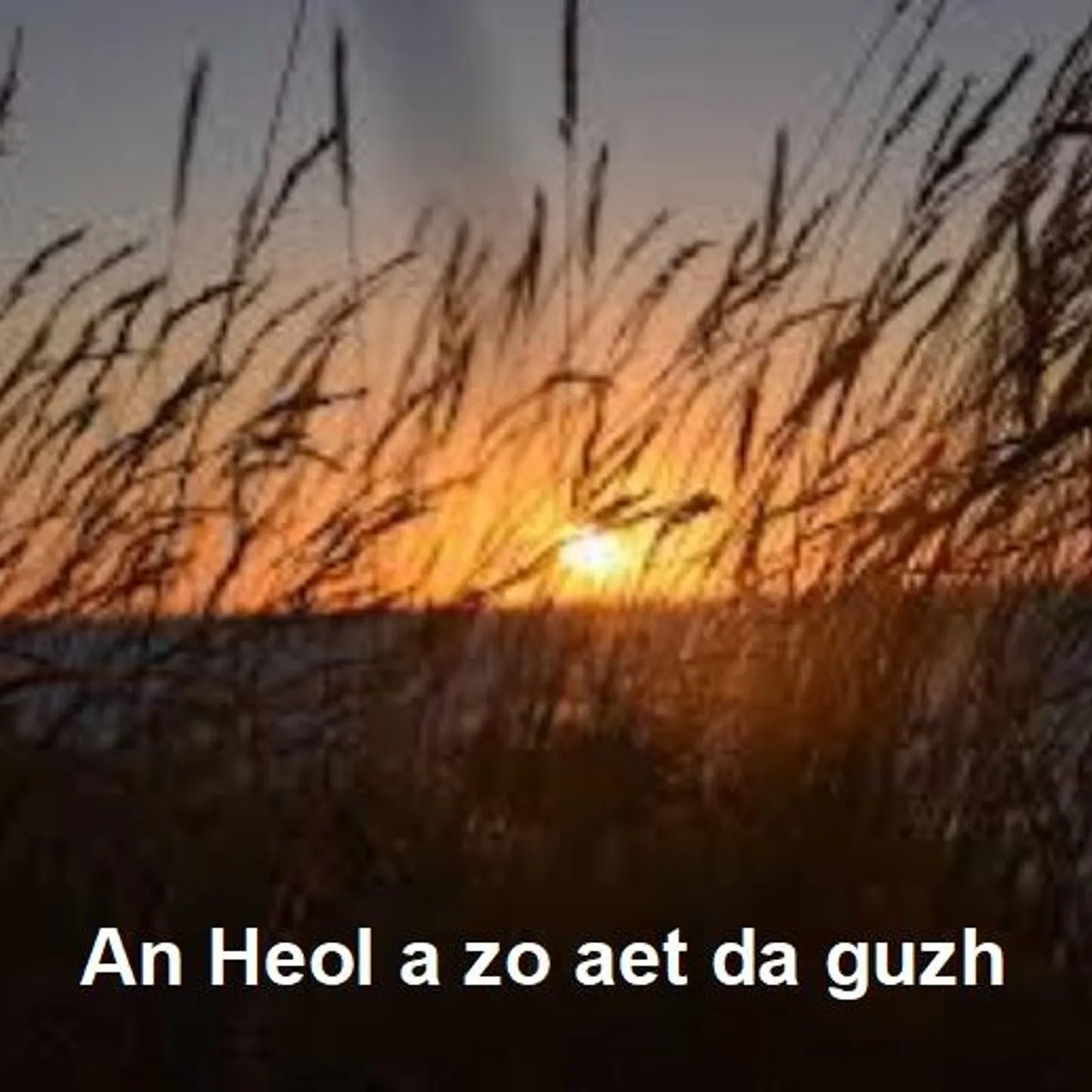 Cours n°107