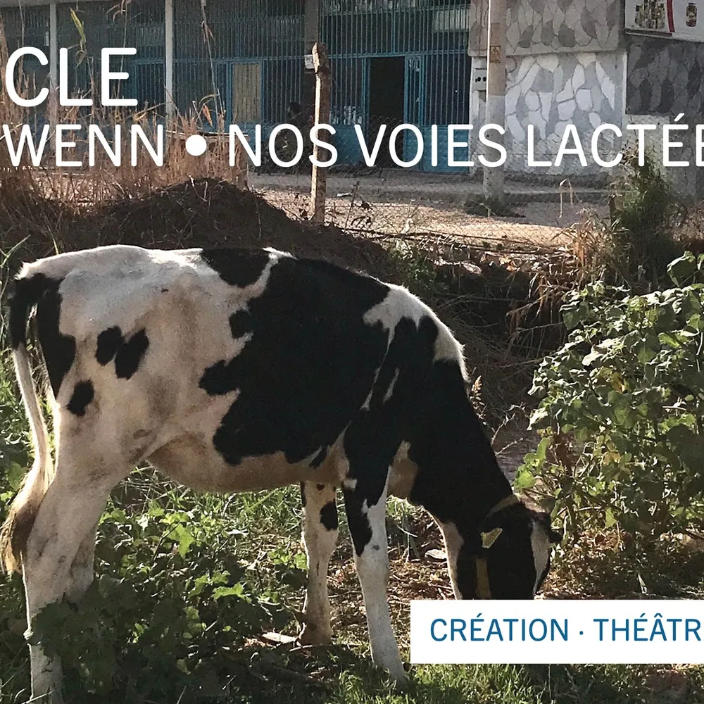 Tarzh an noz du mercredi 24 janvier 2024