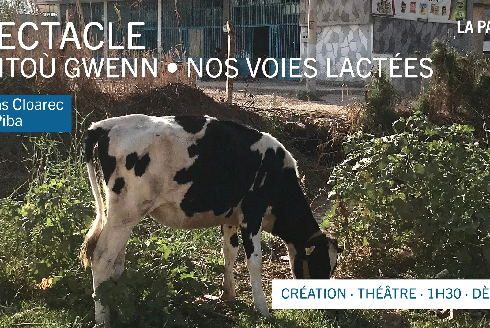 Tarzh an noz du mercredi 24 janvier 2024