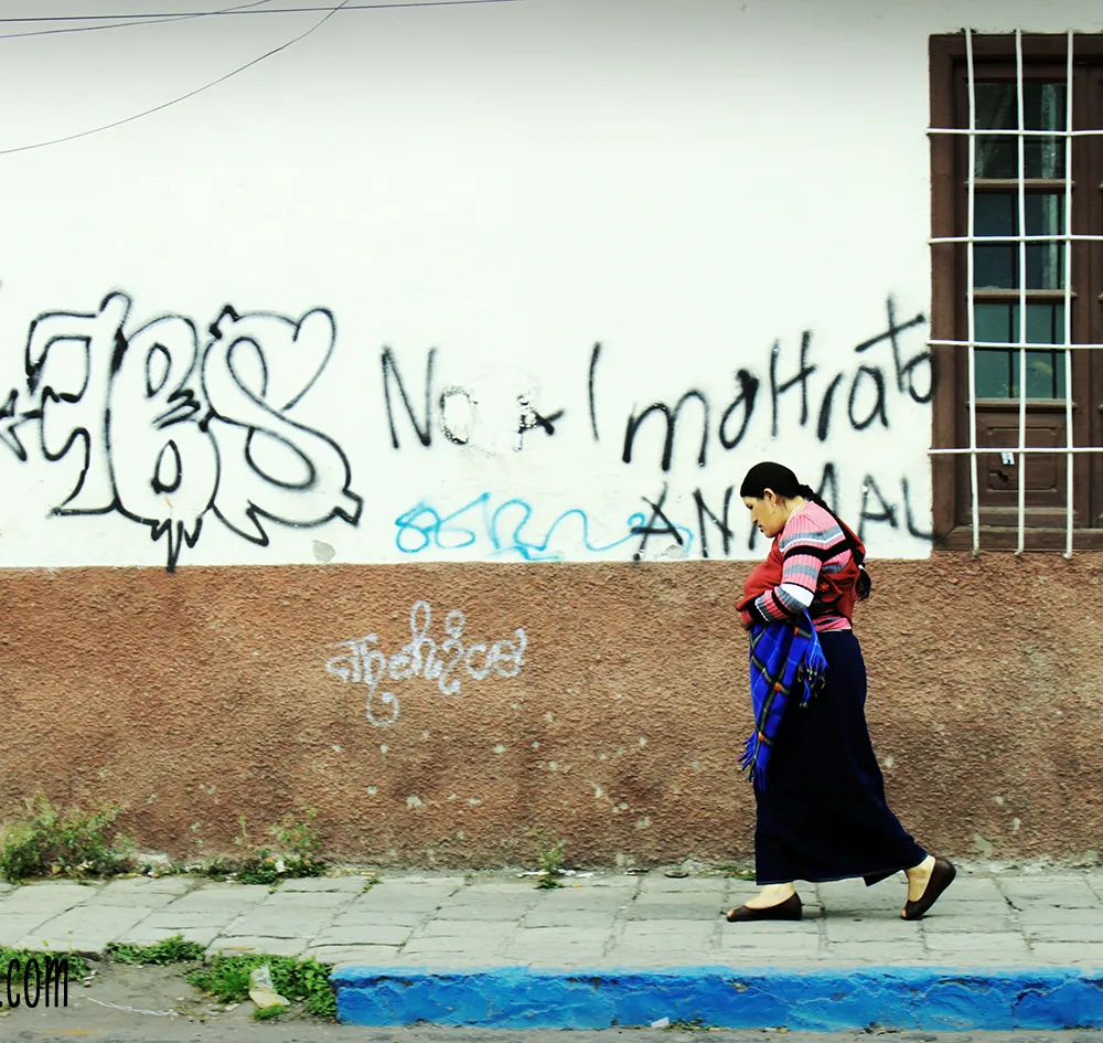 Avel em fenn - Yaou 8 a viz C'hwevrer