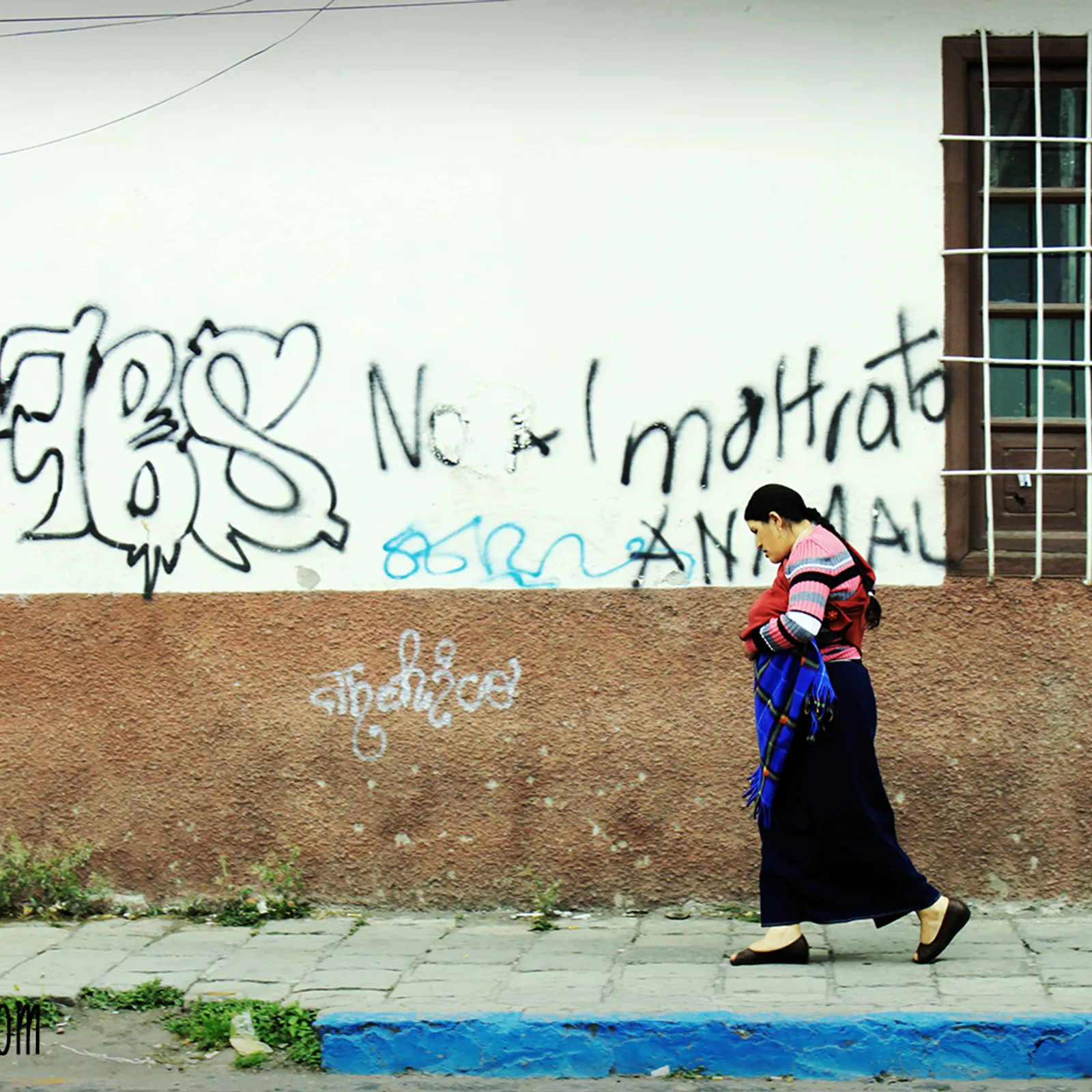 Avel em fenn - Yaou 8 a viz C'hwevrer