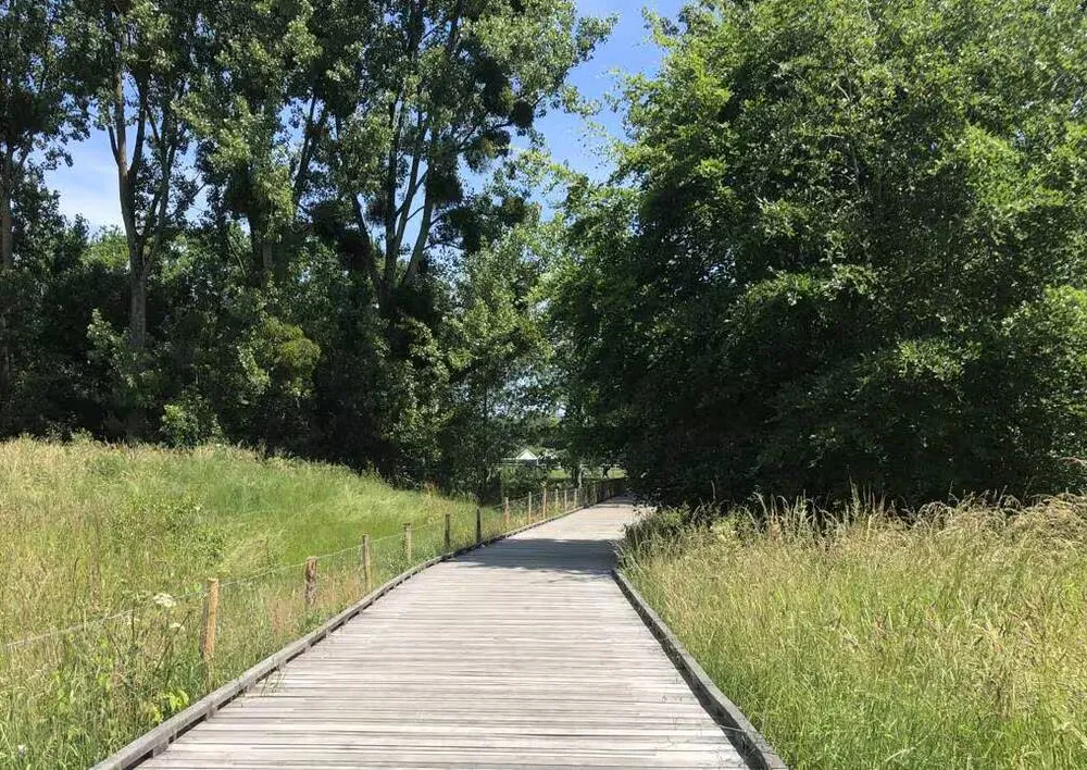 Visite guidée du Poumon vert, le 10 juillet à 14h 