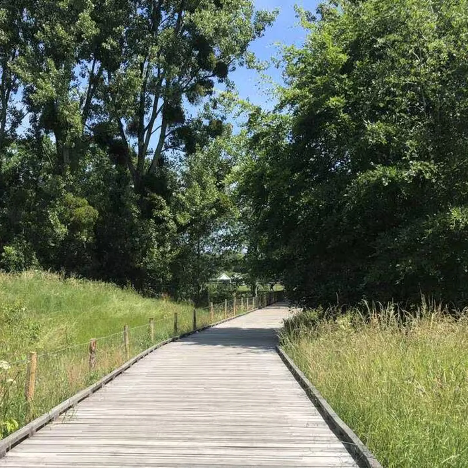 Visite guidée du Poumon vert, le 10 juillet à 14h 