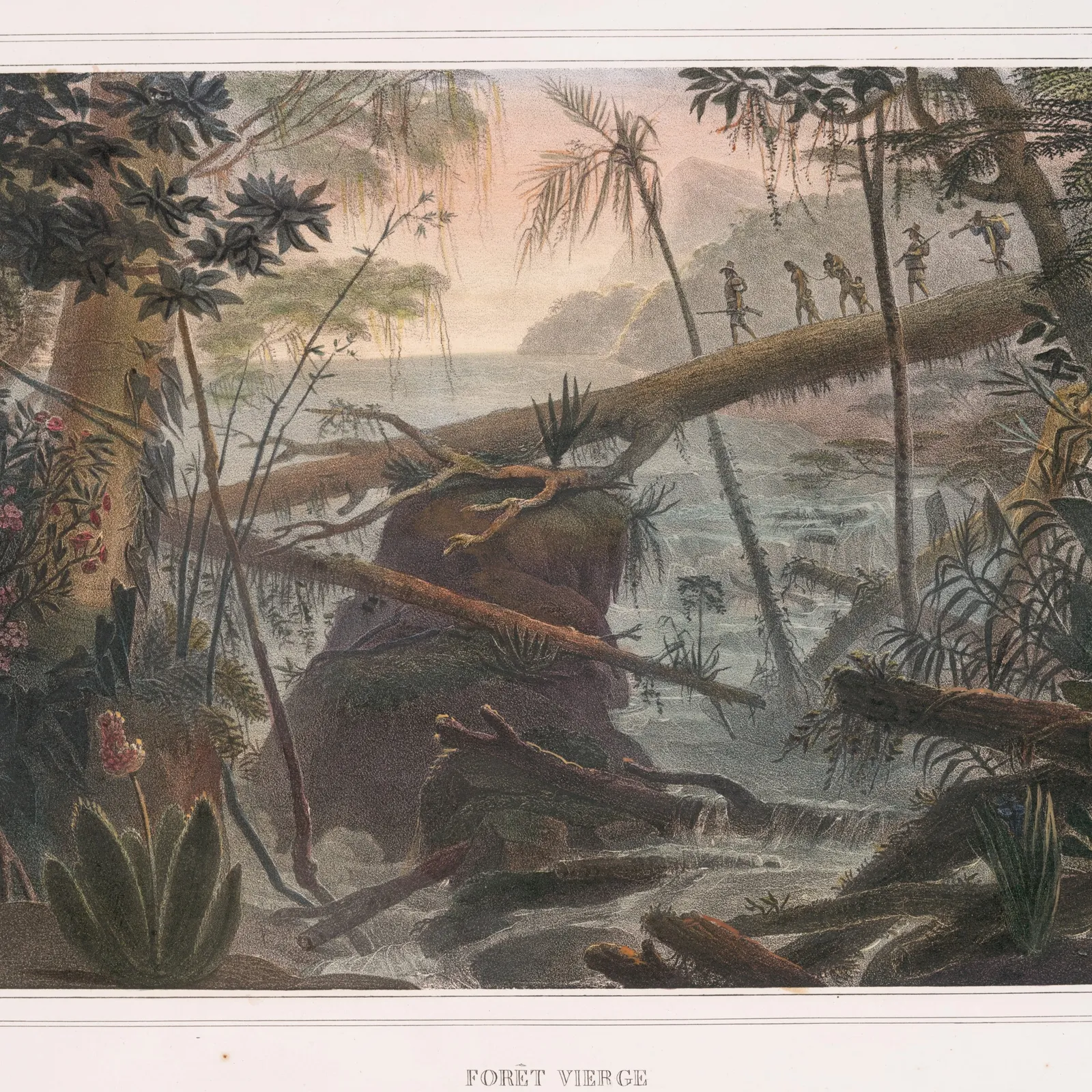 Bandes Organisées #1 Brésil sous dictature