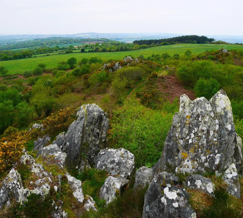 L'ajonc du Karreg an Tan