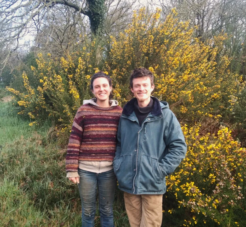 Avel em fenn - Meurzh 11 a viz C'hwevrer