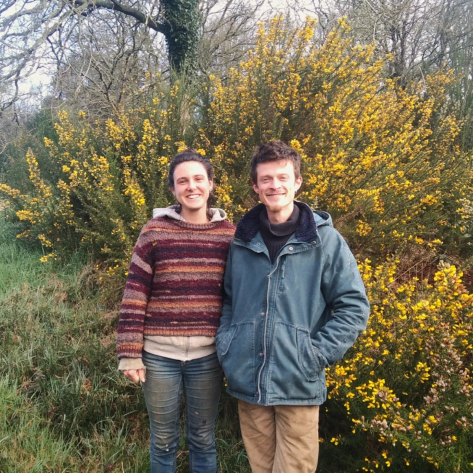 Avel em fenn - Meurzh 11 a viz C'hwevrer