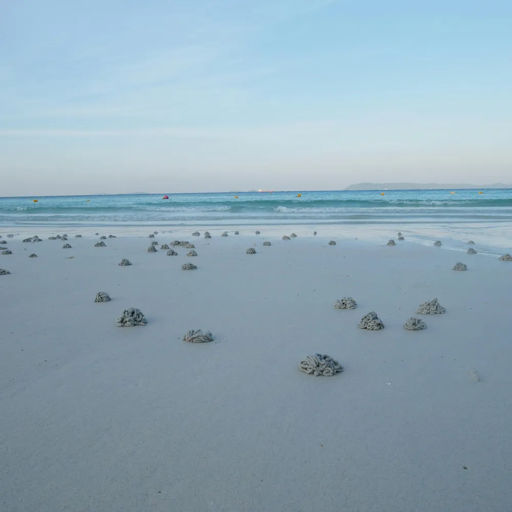 C'hwezh an deiz 20/01/2026