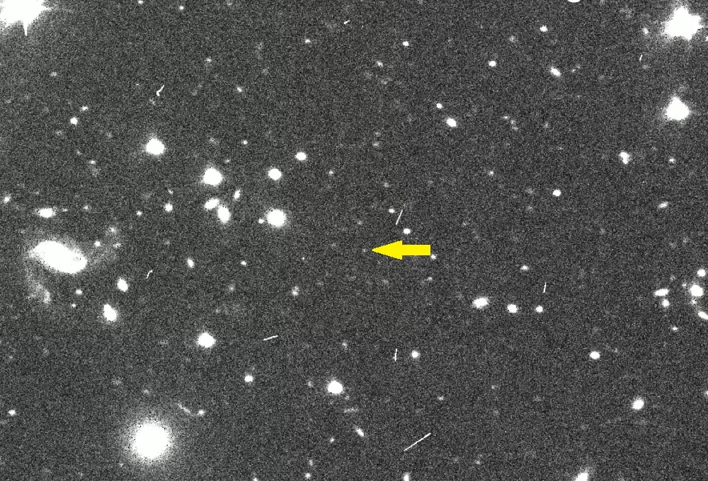 Le Chant de l'Alouette #36