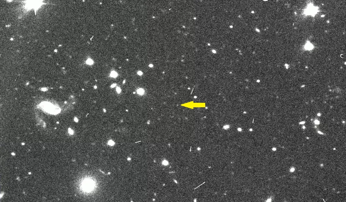 Le Chant de l'Alouette #36