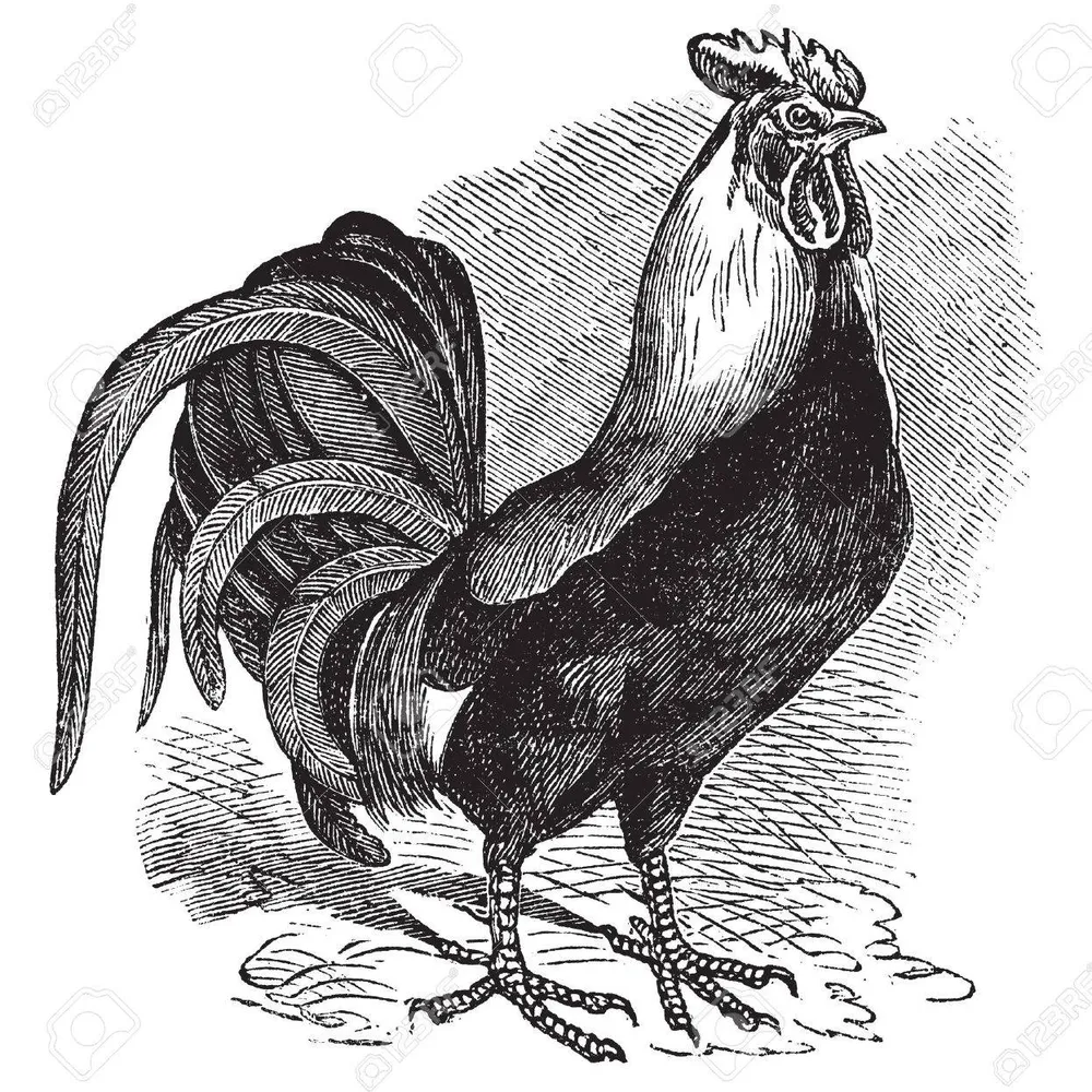 Le Chant de l'Alouette #3