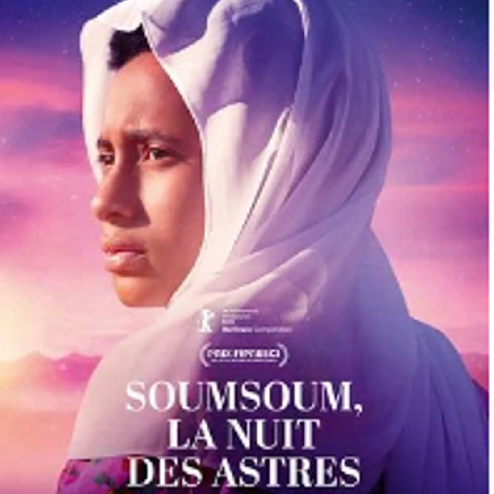 programmation du Cinéroch de Guémené/scorff du 6 au 12 mai